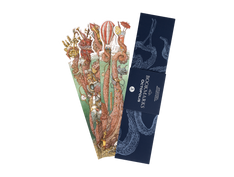Bookmarks Octopolis image #1
